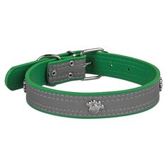 Ошейник Пижон Лапки 283073, 59 см зеленый