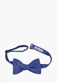 Бабочка Rainbowtie