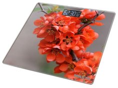 Весы напольные Marta МТ-1678 весенние цветы