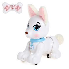 Робот интерактивный радиоуправляемый CRAZON с аккумулятором, цвет оранжевый Zhorya