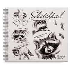 Скетчпад 155х180 мм арт. 53298 ЕНОТ Феникс+