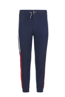 Спортивные брюки мужские Tommy Jeans DM0DM07613 CBK синие M