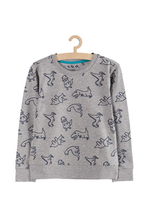 Лонгслив для мальчиков 5.10.15.