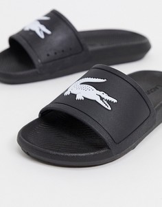 Черно-белые шлепанцы с логотипом Lacoste-Черный