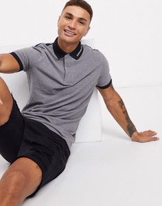 Футболка-поло с вышивкой на воротнике Calvin Klein Jeans-Серый
