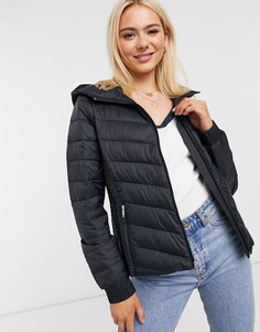 Hollister Lookbuck