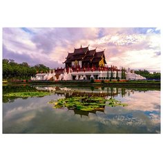 Рыжий кот картина по номерам "Прекрасный таиланд" 50х40 см (X-3677)