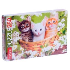 Пазл Hatber Котята (250ПЗ3-18582), 250 дет.