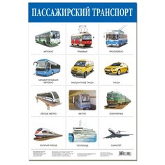 Плакат Дрофа-Медиа Пассажирский транспорт 2166