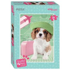 Пазл Step puzzle Studio Pets by Myrna Мирна (81172), 60 дет.
