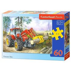 Пазл Castorland Forest Site (B-06601), 60 дет.