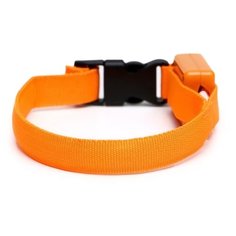 Ошейник Пижон 2603391-2603396, 26 см оранжевый