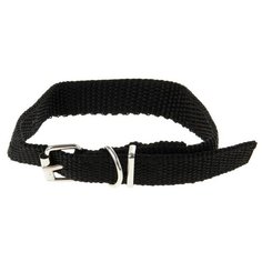 Ошейник Пижон 1120993-1120996, 33.5 см черный