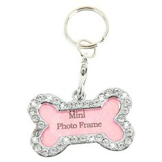 Адресник на ошейник Пижон Косточка серебристый