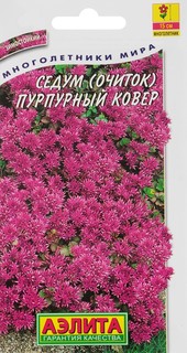 Семена Аэлита Седум ложный Пурпурный ковер, 0,03 г