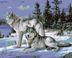 Картина по номерам Живопись по Номерам "Волки", 40x50