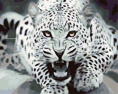 Картина по номерам Живопись по Номерам "Ярость леопарда", 40x50