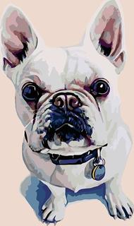 Картина по номерам Живопись по Номерам "Тибо", 40x50