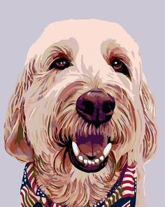 Картина по номерам Живопись по Номерам "Фараон", 40x50