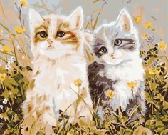 Картина по номерам Живопись по Номерам "Два котёнка", 40x50
