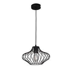 Люстра подвесная Vitaluce V4454-1/1S