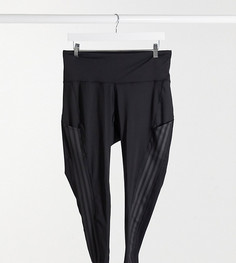Черные леггинсы adidas Training Plus-Черный