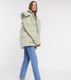 Шалфейно-зеленый oversized-пуховик ASOS DESIGN Tall