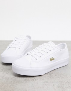 Белые кроссовки на платформе с золотистым логотипом Lacoste-Белый