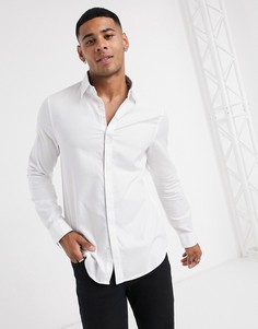 Белая хлопковая рубашка узкого кроя Armani Exchange-Белый