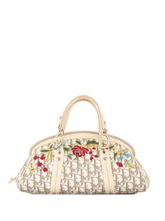 Christian Dior сумка pre-owned Trotter с цветочной вышивкой