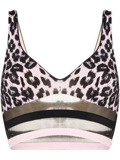 Agent Provocateur Zenaya bikini top