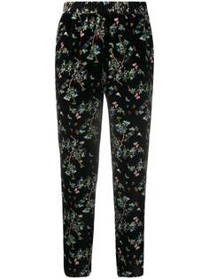 Zadig&Voltaire бархатные брюки с цветочным узором