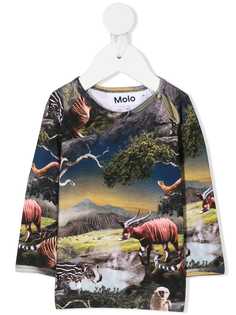 Molo толстовка с принтом