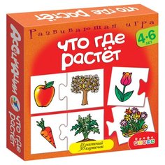 Настольная игра Дрофа-Медиа Ассоциации. Что где растет