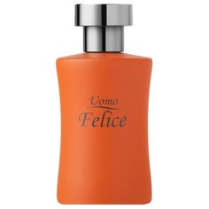 Туалетная вода Faberlic Uomo Felice, 100 мл