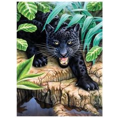 Royal & Langnickel Картина по номерам "Чёрный леопард" 22х29 см (PJS 42)