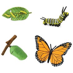 Игровой набор Safari Ltd Жизненный цикл бабочки монарх 622616