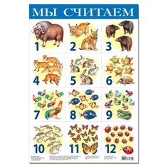 Плакат Дрофа-Медиа Мы считаем №1 1762