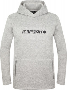 Худи мужская IcePeak Vologda, размер 52