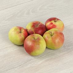 Яблоки сорт женева Noname