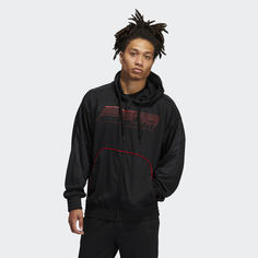 Толстовка D Rose adidas Performance