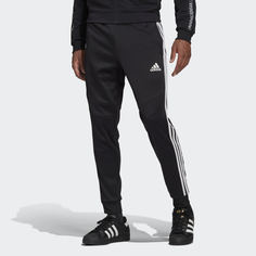 Брюки Tiro 19 Training adidas Performance