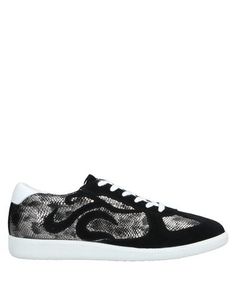 Низкие кеды и кроссовки Just Cavalli