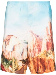 Palm Angels CANYON SWIM SHORTS LIGHT BLUE MULTICOL