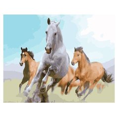 Color Kit Картина по номерам "Дикие лошади" 40х50 см (CG872)