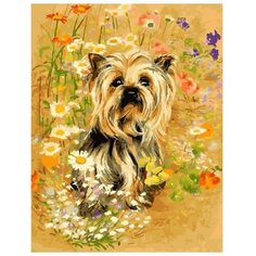 Color Kit Картина по номерам "В полевом цвете" 40х50 см (CG925)