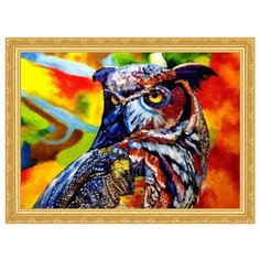 Color Kit Картина из пайеток Мудрая сова (CME014)