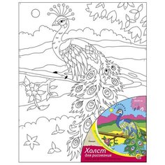 Рыжий кот Картина по номерам "Павлин" 20х25 см (Х-1656)