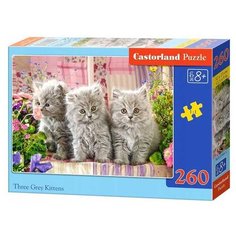 Пазл Castorland Три серых котенка (B-27491), 260 дет.