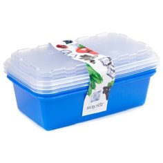 BEROSSI Набор контейнеров для заморозки "Zip" джинс